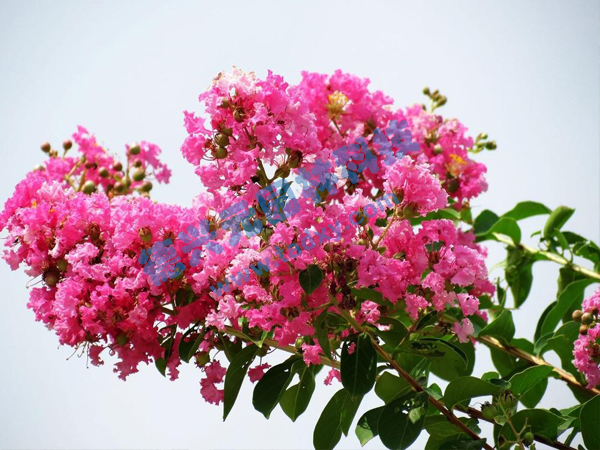 �c���鿴Ԕ����Ϣ���}����ޱ ��x�Δ�(sh��)��2005