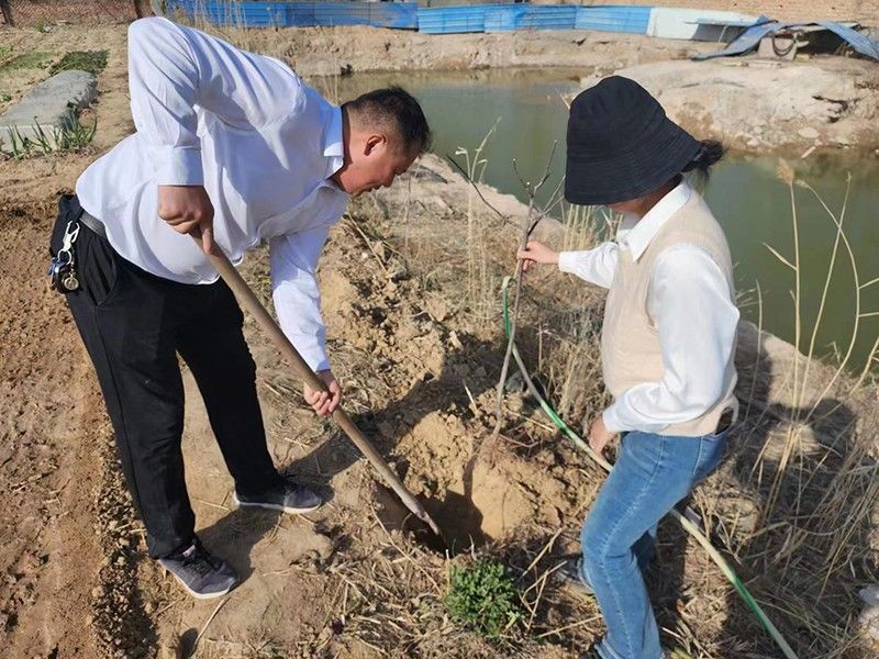 “春播添新綠，不負好春光”-城建新型材料公司黨支部開展主體黨日活動